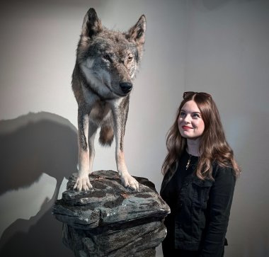 Janin Pisarek und der Wolf